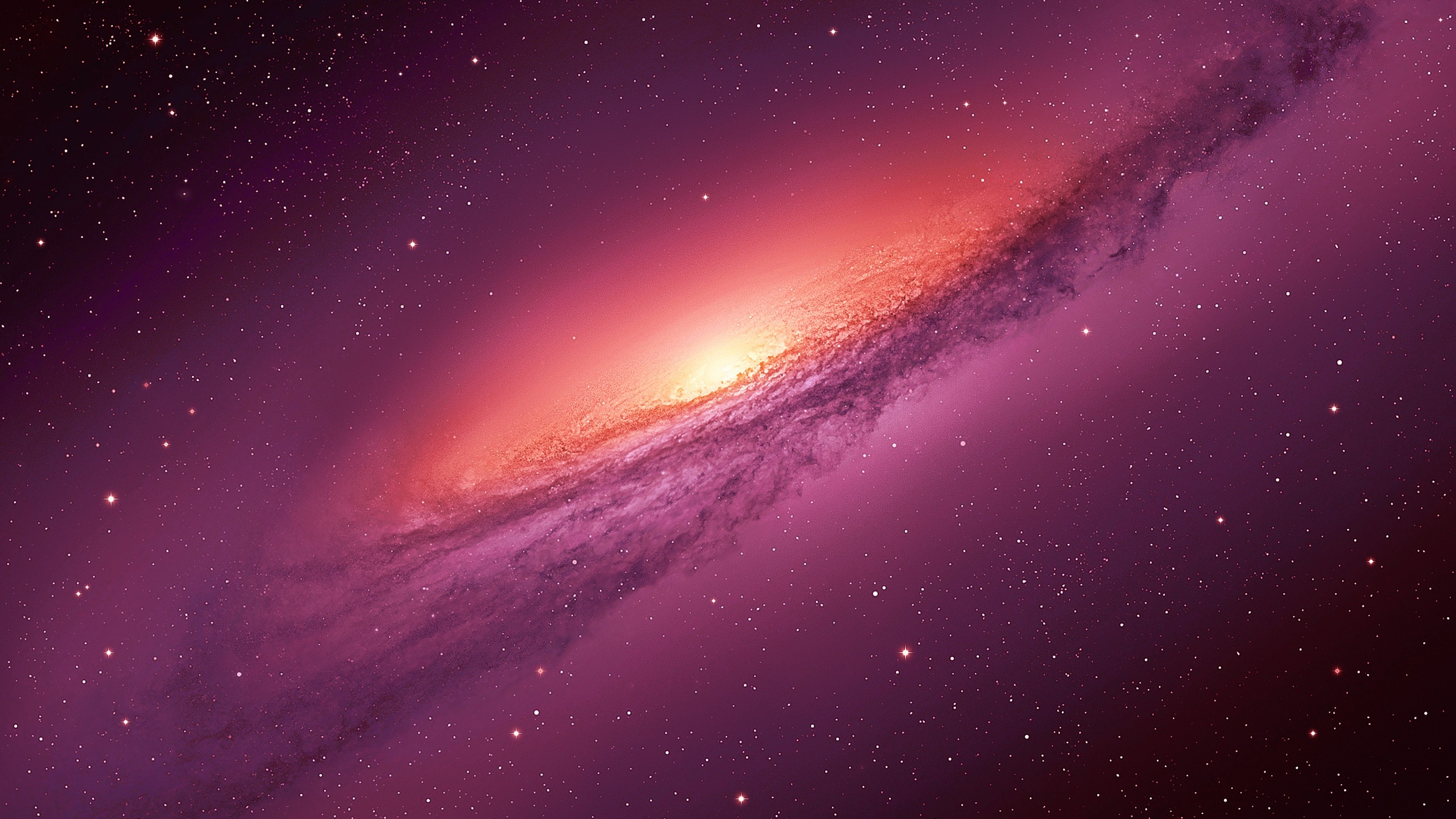 Main Banner Image 1